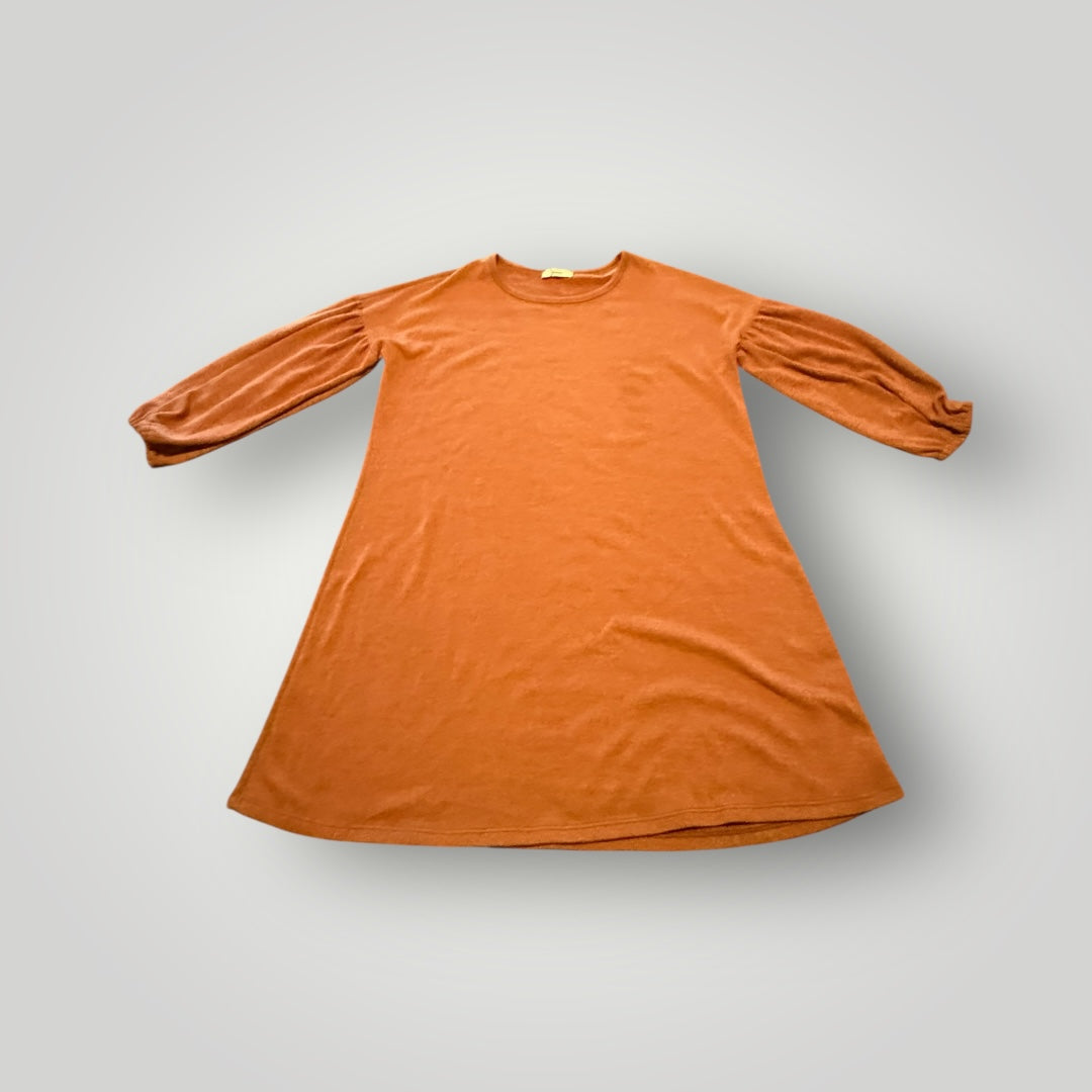 Entro Rust A Line Dress Size XL